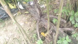 Bhabhi ko jungle mein le jakar