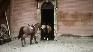 Vintage French Adultery