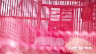 step mom ass fucking village home